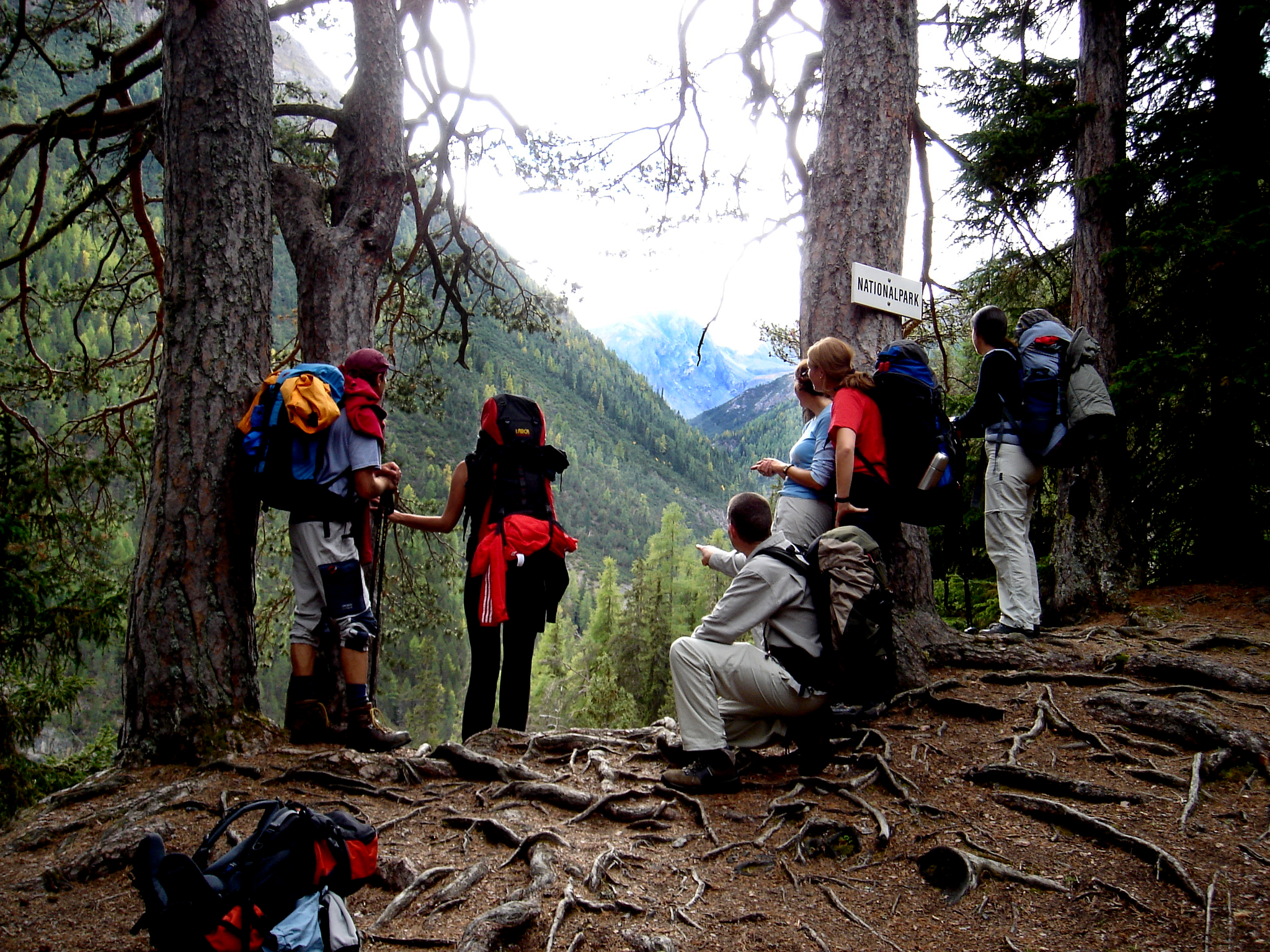 Exkursionsgruppe in den Alpen schaut durch Baumlücke in ein Tal