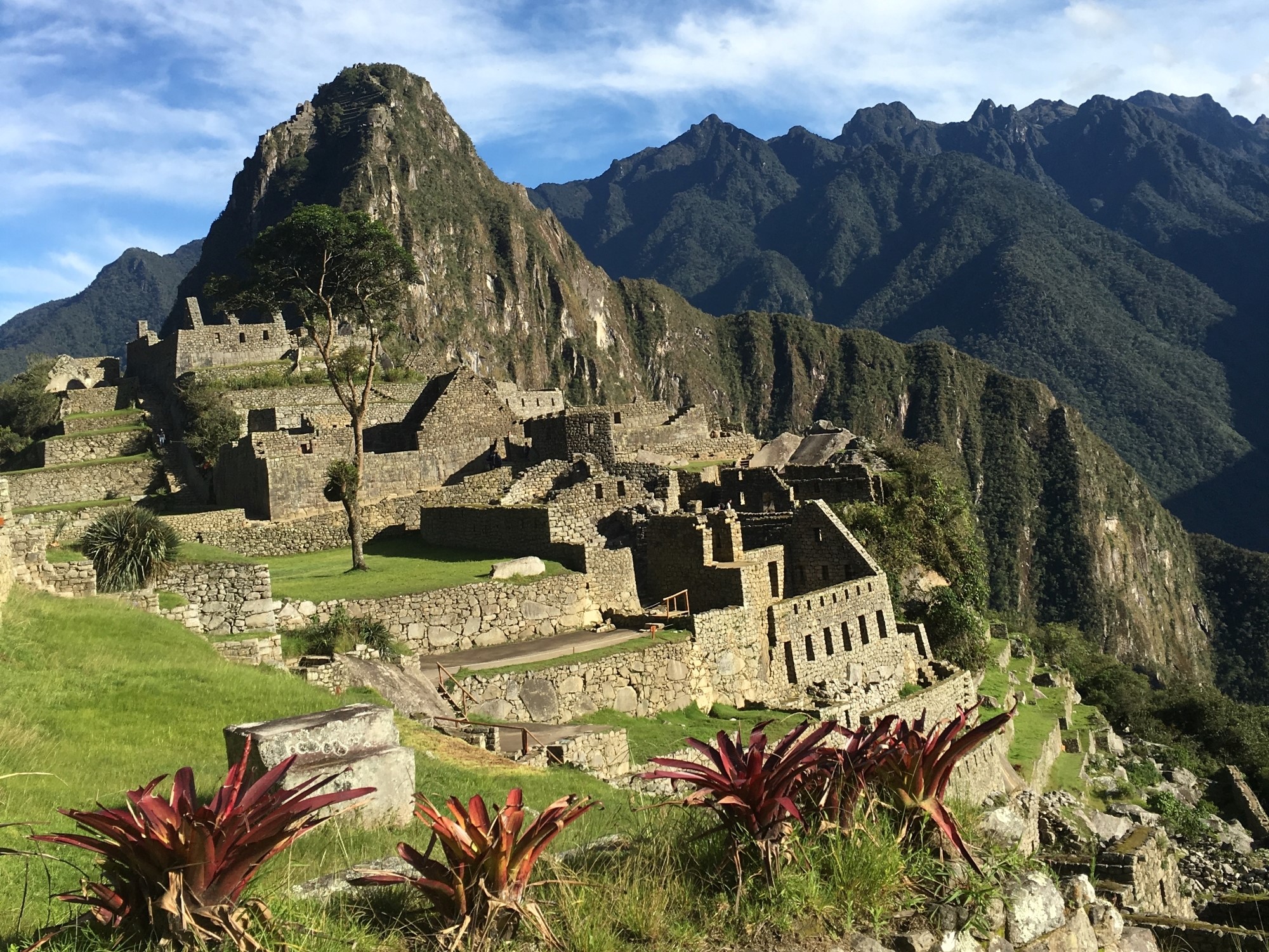 Machu Picchu